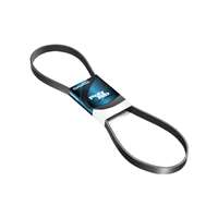 DAYCO-AUTO-POLYRIB-BELT-35.6X1295MM-(10PK1295DAY)